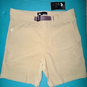 NWT NIKE SB Beige Shorts size 30